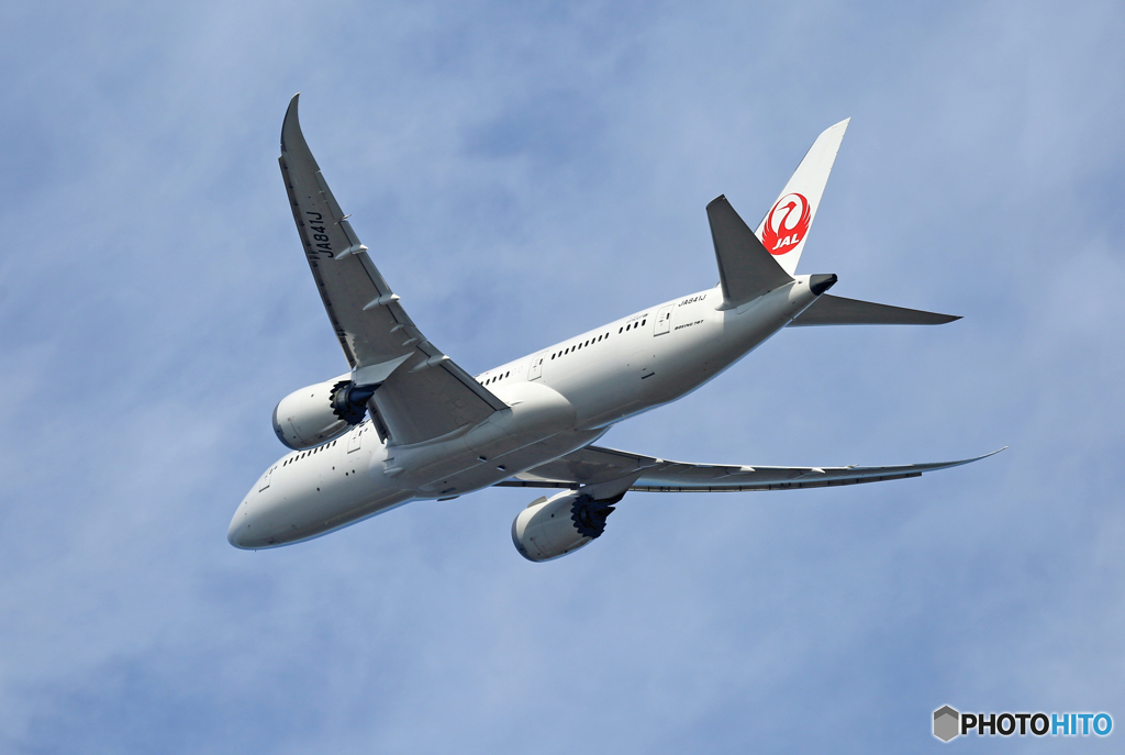飛行  JAL 787-8 JA841J