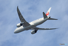 飛行  JAL 787-8 JA841J