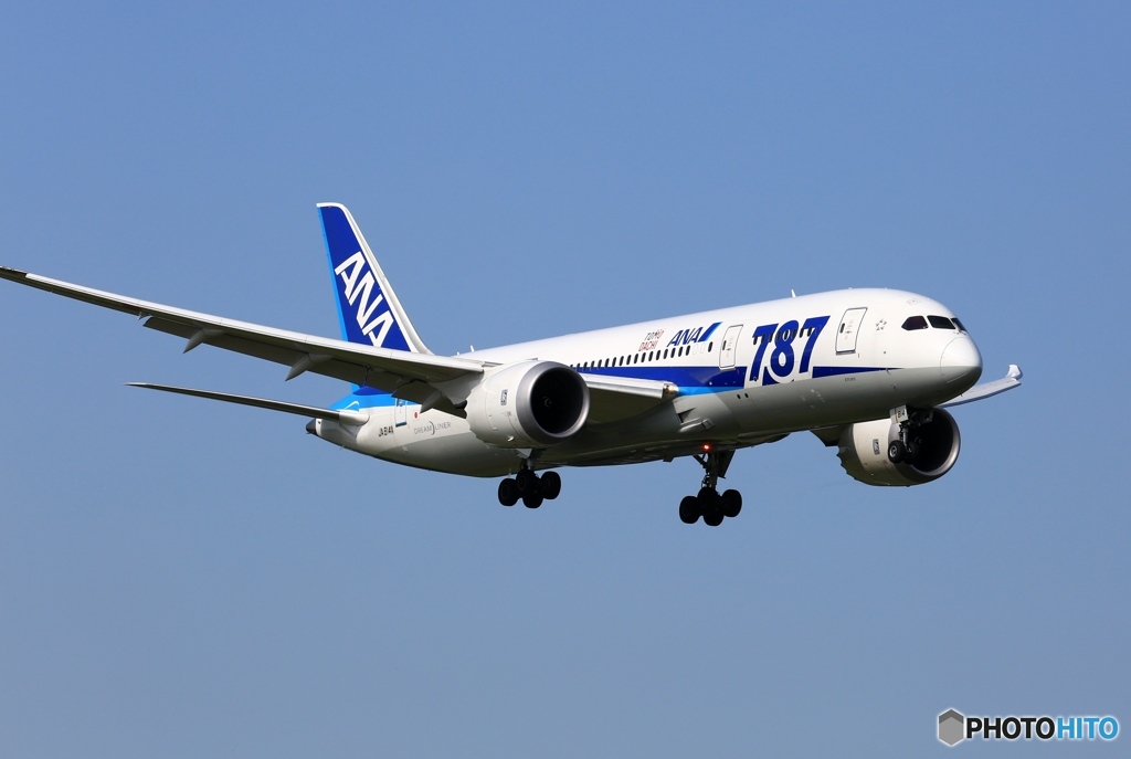 到着　ANA 787-8