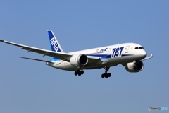到着　ANA 787-8