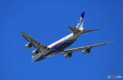 「SKY」 NCA 747-8KZF JA11KZ Takeoff 