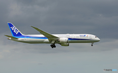 「☁」 ANA 787-9 JA880A 着陸