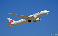 出発 JAL 787-8 JA841J