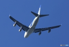 NCA 747-400F JA07KZ 飛び立ち　