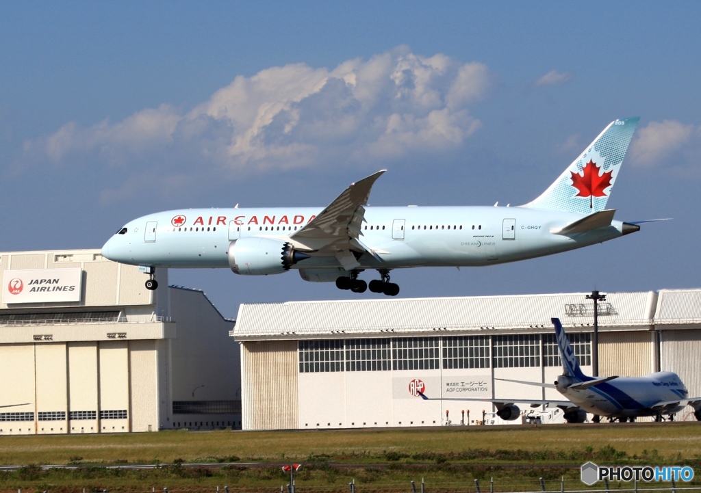 AIR CANADA 787-8 到着　