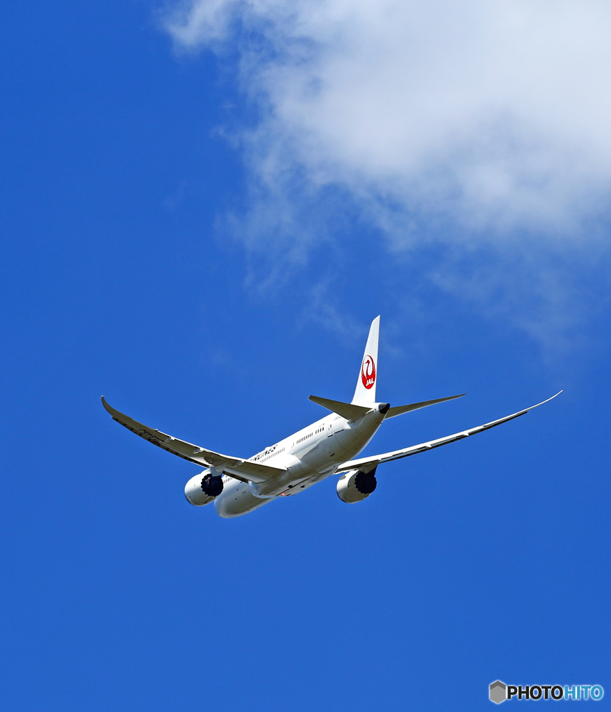 ☀  JAL 787-8 JA845J Takeoff 