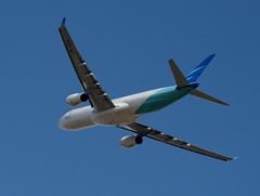 ｶﾞﾙｰﾀﾞ A330-341 飛び立ち