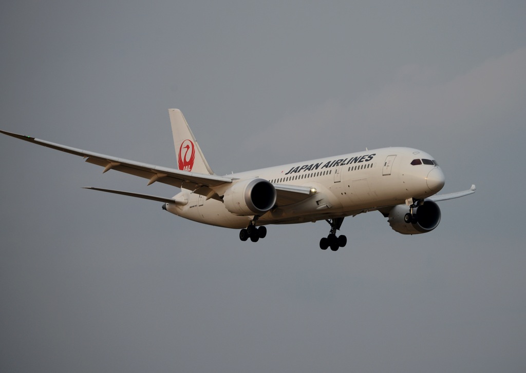 着陸 JAL 787-8