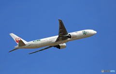 「SKY」 JAL 777-346 JA734J☀