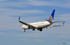 「青い空」 United 737-824 N73299 SIM-W