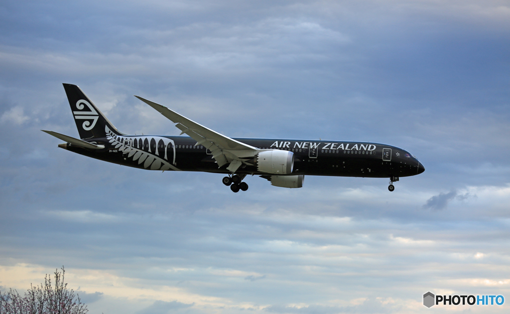 「はれ」Air NZ'「All Blacks」B787-9 ZK-NZE到着　