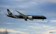 「はれ」Air NZ'「All Blacks」B787-9 ZK-NZE到着  「はれ」Air NZ'「All Blacks」B787-9 ZK-NZE到着