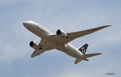 出発 Air India 787-8 VT-ANU