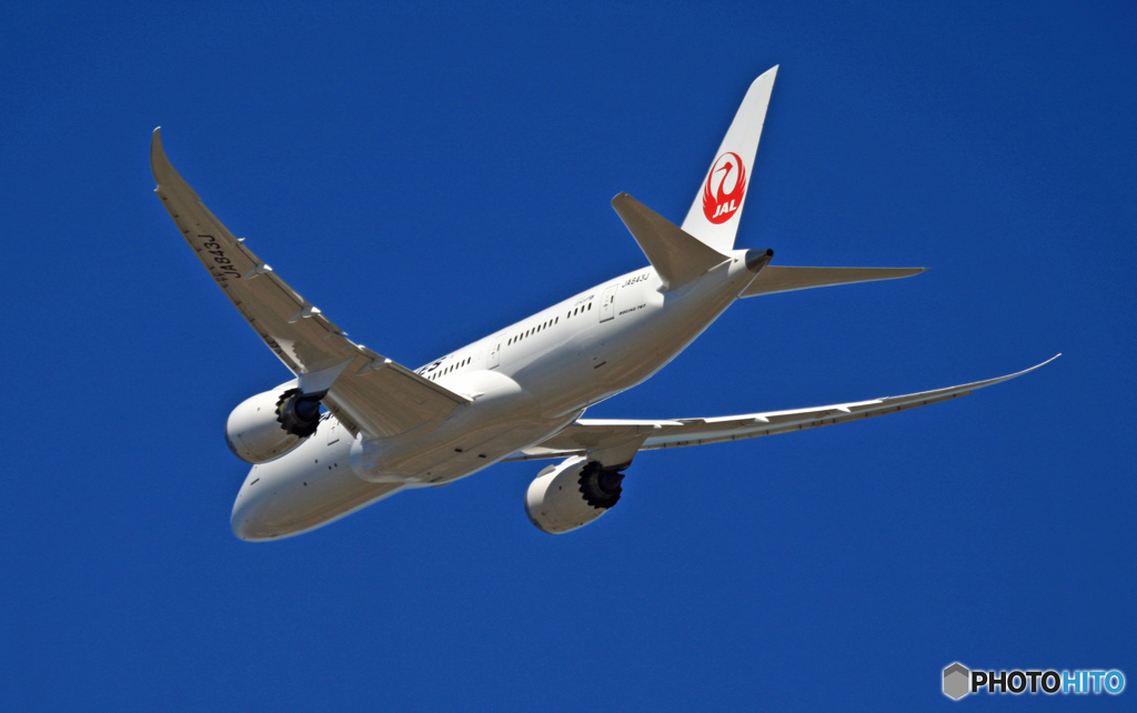JAL 787-8 JA843J 離陸 