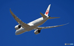 JAL 787-8 JA843J 離陸 