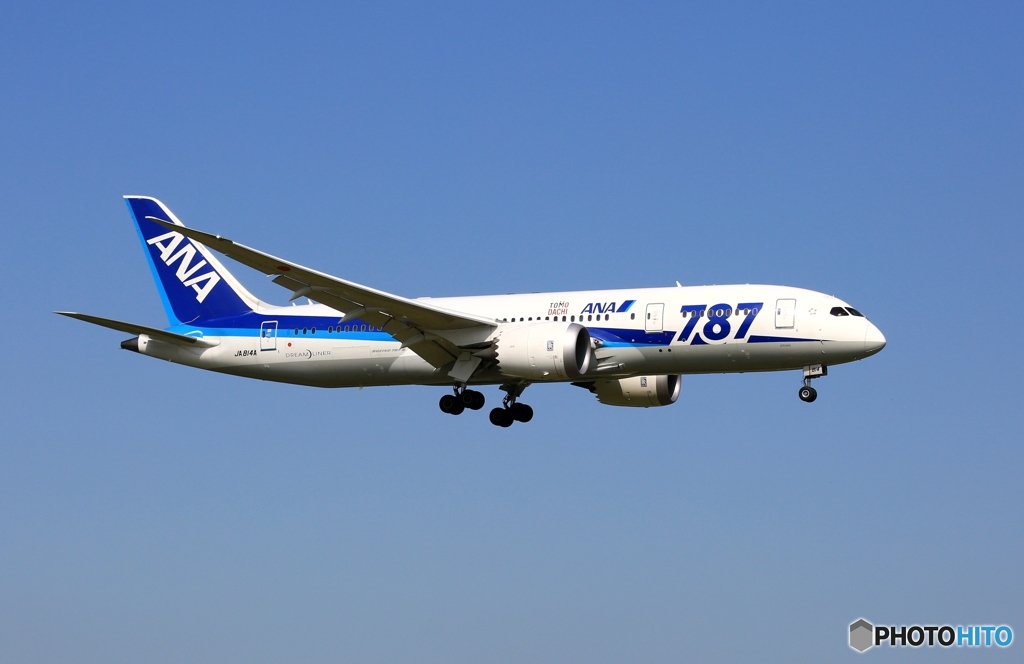 ANA 787-8 JA814A 到着　