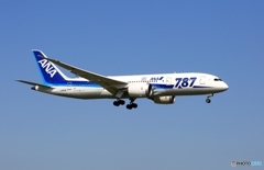 ANA 787-8 JA814A 到着　