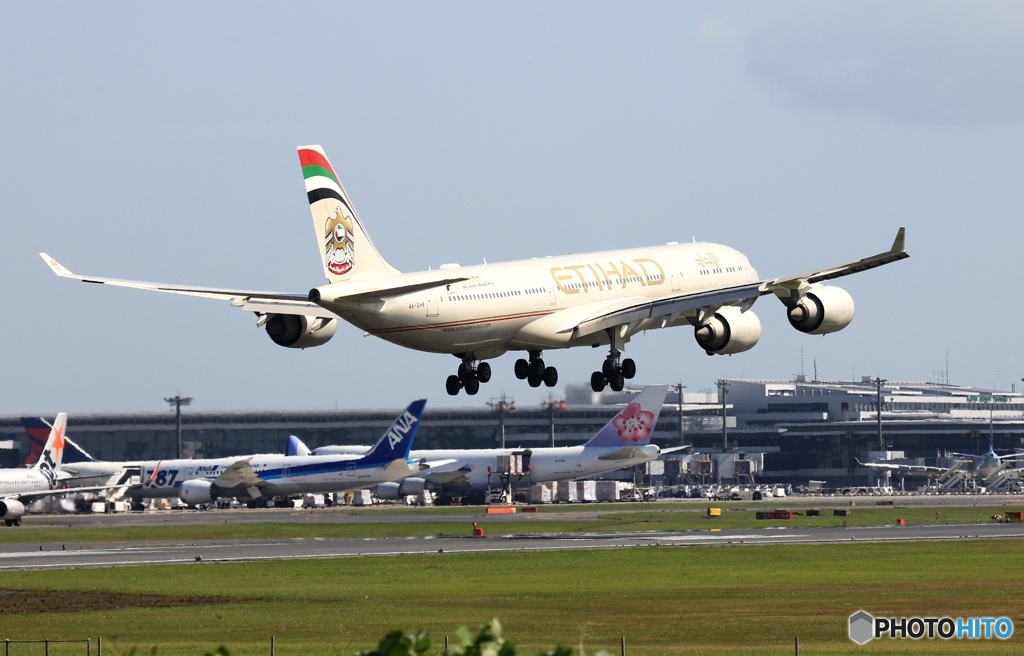 到着　ETIHAD A340-541  A6-EHB