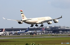 到着　ETIHAD A340-541  A6-EHB