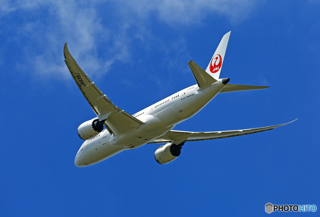 「SKY」   JAL 787-8 JA838J 離陸 
