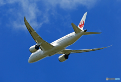 「SKY」   JAL 787-8 JA838J 離陸 