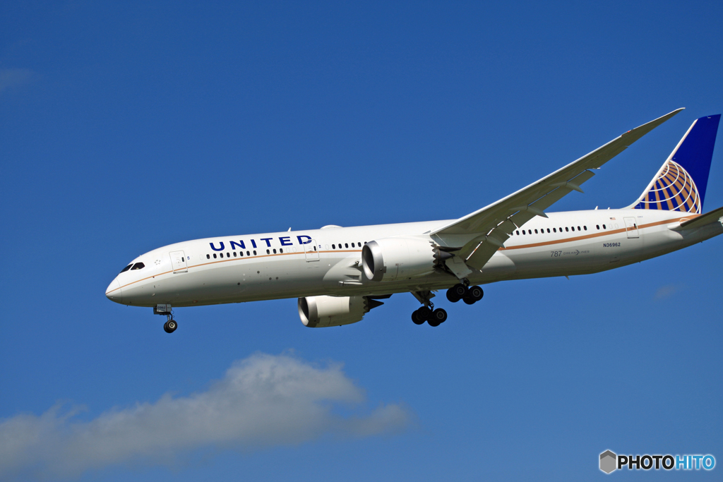 [青い空]　UNITED 787-9 N36962