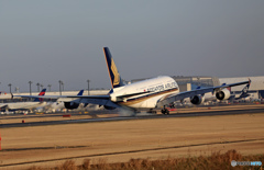 到着 Singapore A380-841 9V-SKN