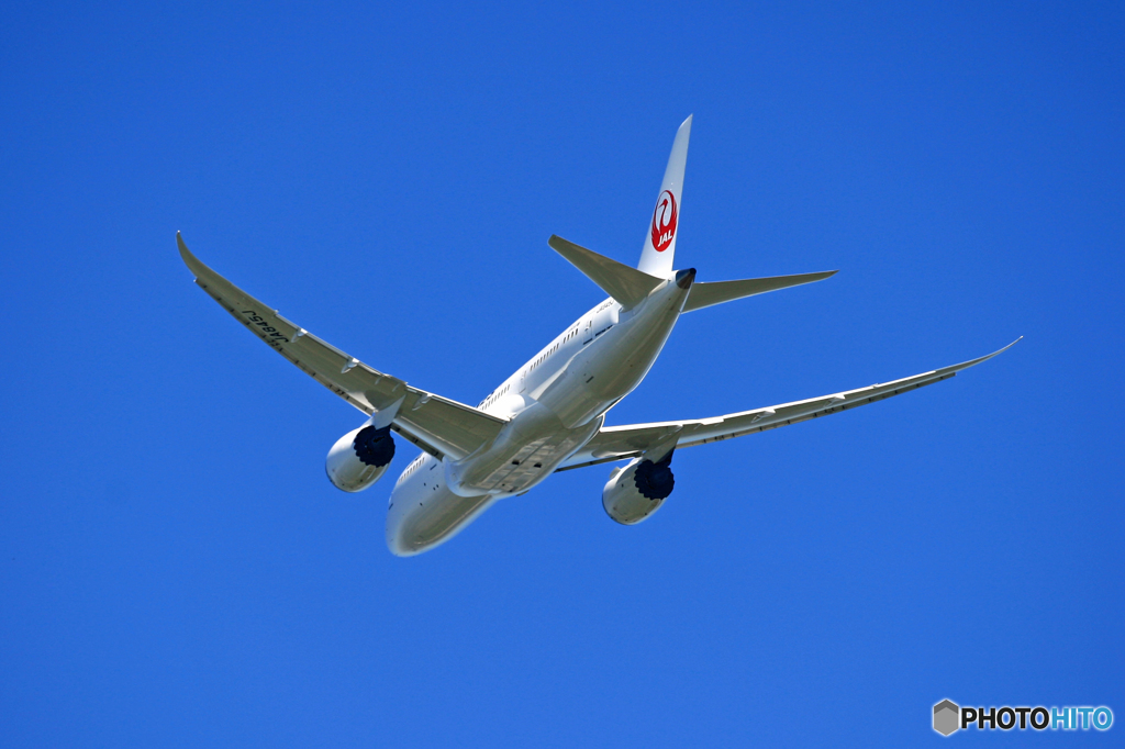 [青空]　JAL 787-8 JA845J