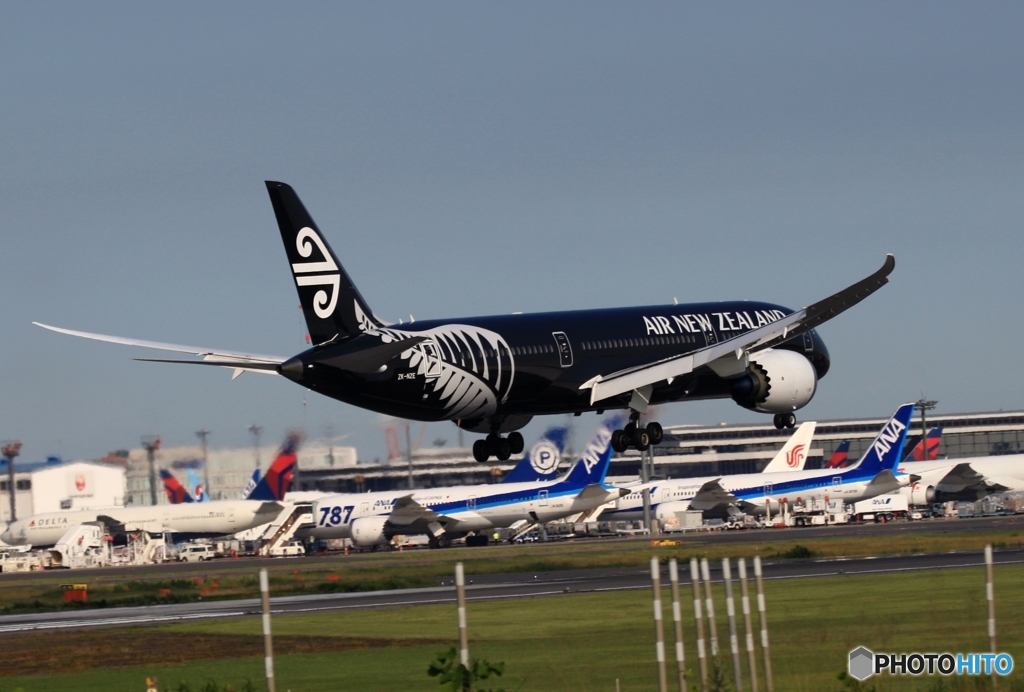 Air New Zealand 「All Blacks」787-9 ZK-NZE