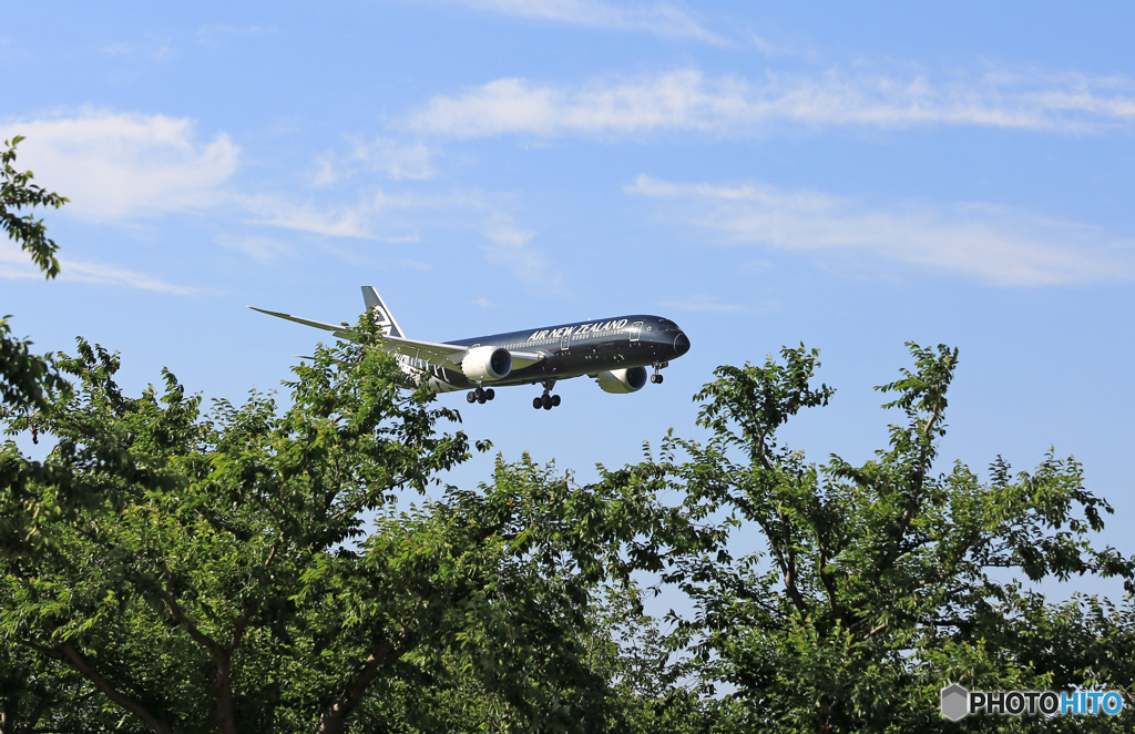 Air New Zealand   B787-9 ZK-NZE　