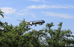 Air New Zealand   B787-9 ZK-NZE　