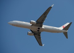 JAL 737-846 