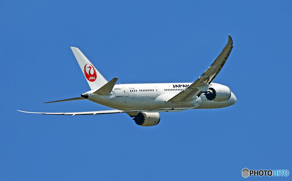 JAL 787-8 JA836J 出発 