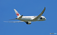 JAL 787-8 JA836J 出発 