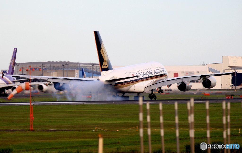 着陸　SINGAPORE A380-841
