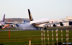 着陸　SINGAPORE A380-841