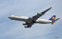 飛び立ち Lufthansa A340-313 D-AIGO