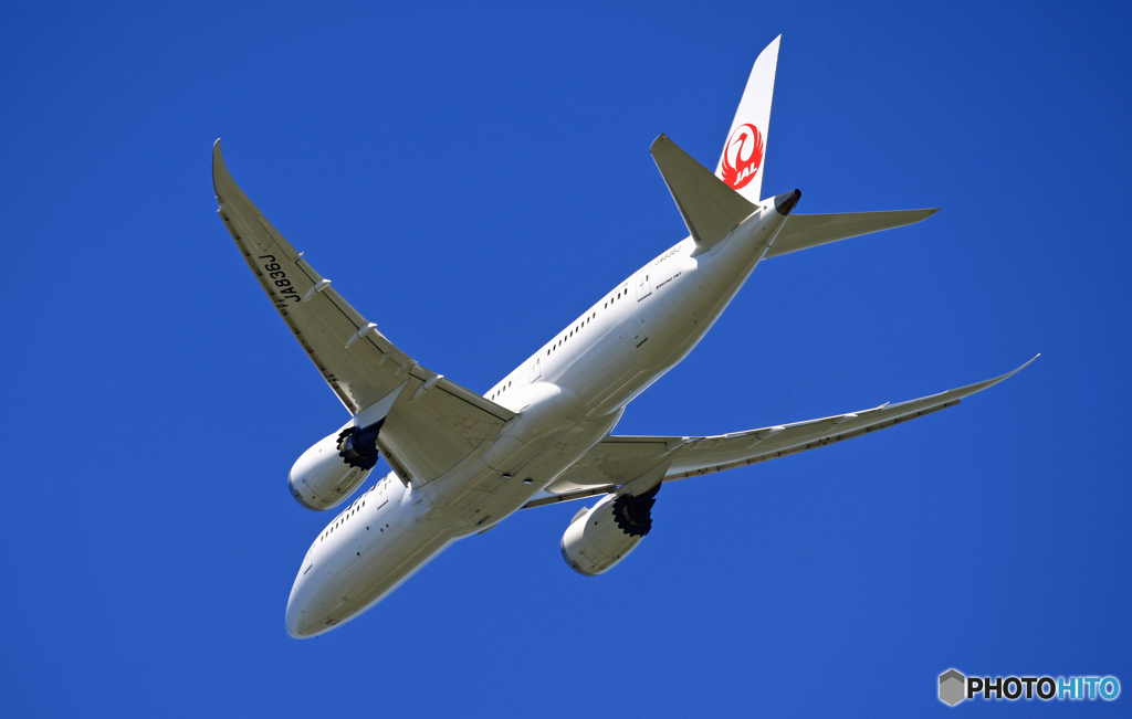 「ぶるー」 JAL 787-8 JA814J飛び立ち 