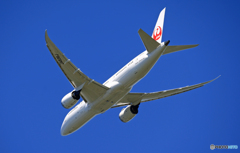 「ぶるー」 JAL 787-8 JA814J飛び立ち 