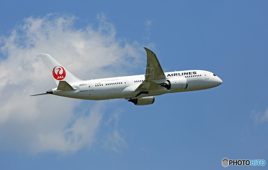 飛行 JAL 787-8 JA837J