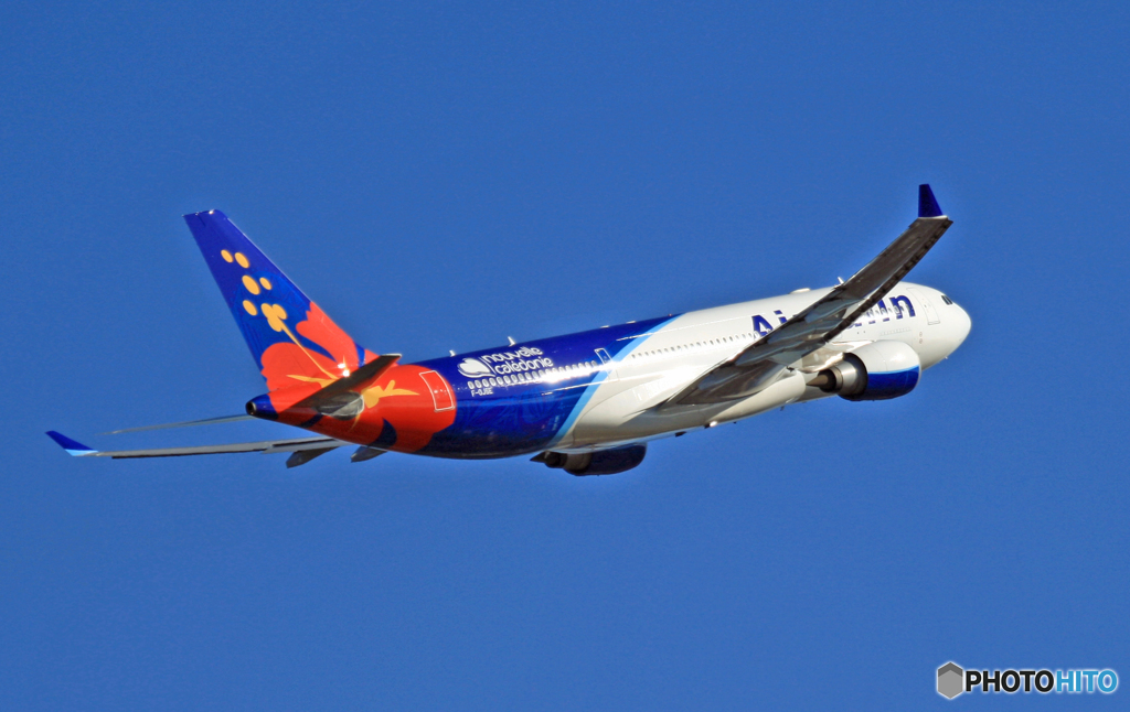 Air Calin a330-202 F-OJSE 離陸 