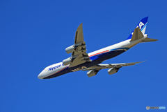 「ぶるー」 NCA 747-8KZF JA16KZ離陸