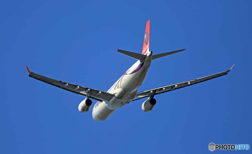 Trans A330-300 B-22103 離陸 