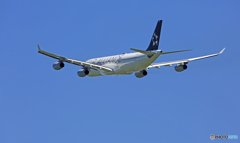 出発 Lufthansa A340-313 D-AIGN