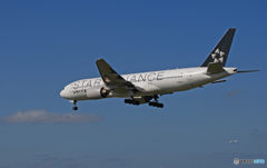 [青い空]　United  STAR 777-222 N218UA