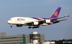 Thai A380-841  到着