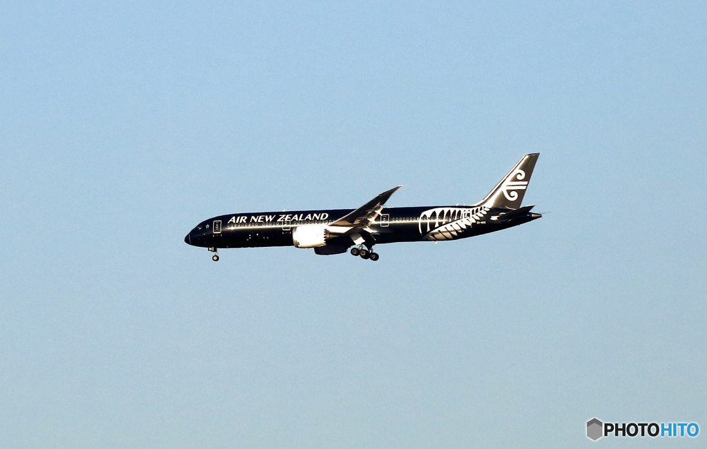 Air New Zealand 「All Blacks」B787-9 　