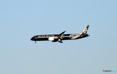 Air New Zealand 「All Blacks」B787-9 　