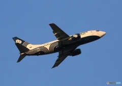 出発　Aurora 737-5L9 