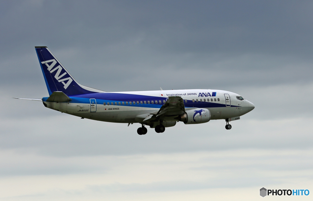 「すかい」 ANA 737-500 ドルフィン JA8595